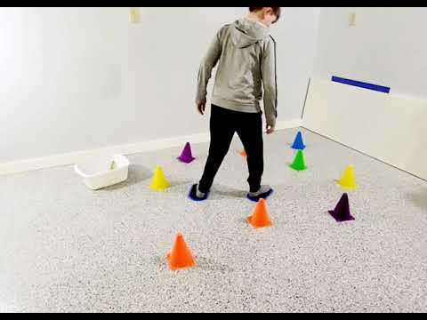 Dinosaur Skate