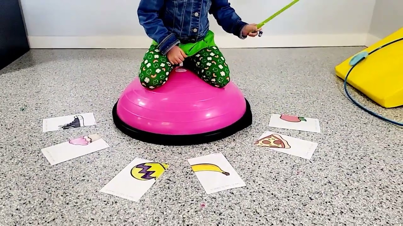 See it, Say It, Swat It Bosu