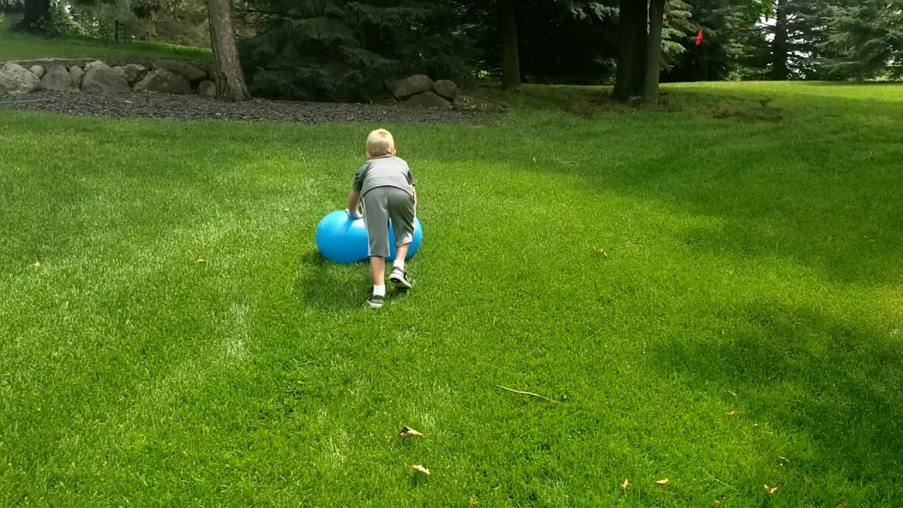 Peanut Ball Rolls