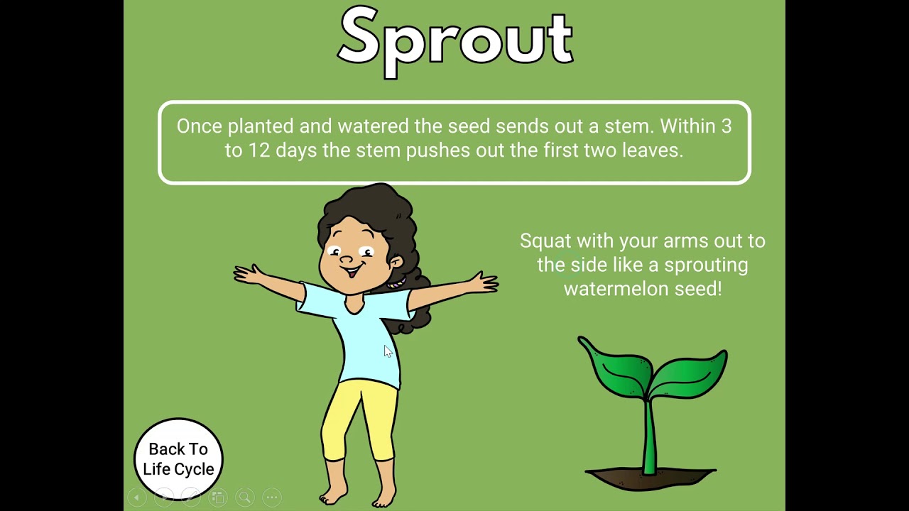 YouTube video player