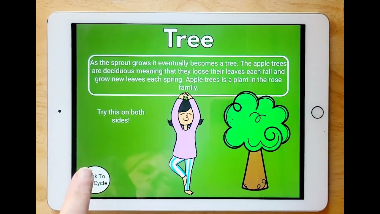 YouTube video player