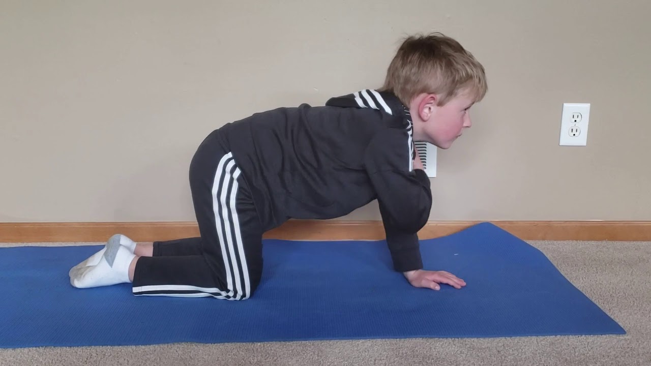Hands and Knees Shoulder Tap