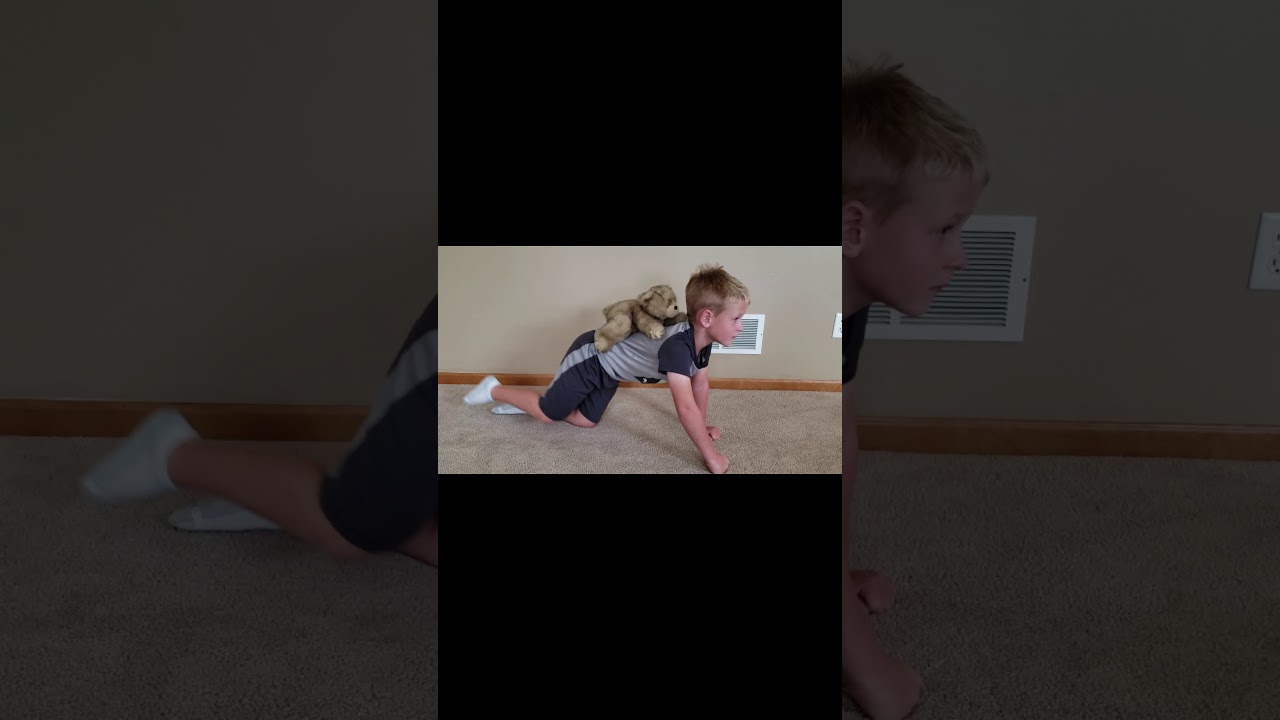 Animal Core Strength