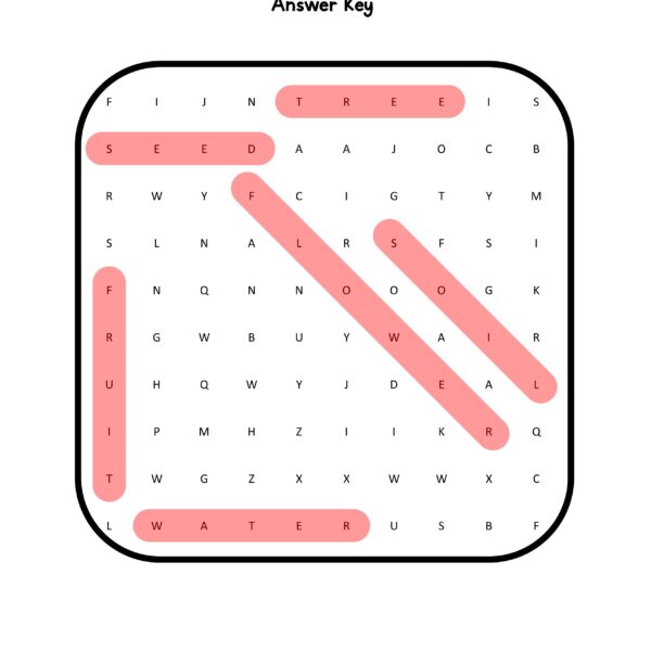 Visual Scanning Answer Key