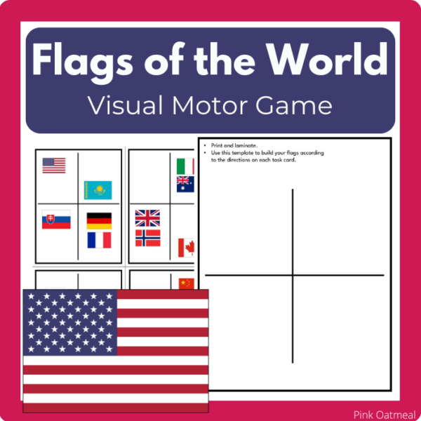 Flags of the World Visual Motor Game