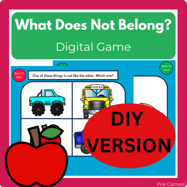 What Does Not Belong? DIY VERSION